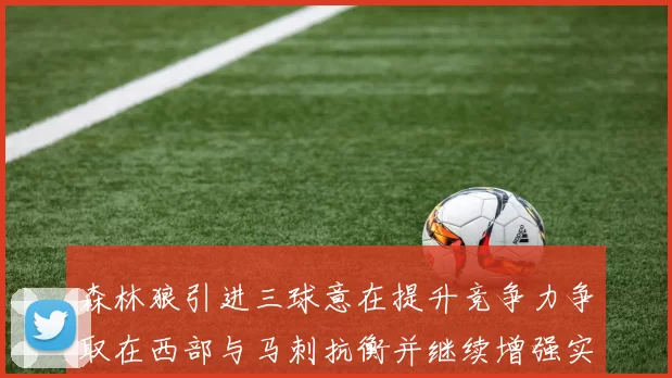 森林狼引进三球意在提升竞争力争取在西部与马刺抗衡并继续增强实力